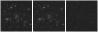 Missing file PGC086644-custom-montage-W1W2.png