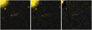 Missing file PGC1207820-custom-montage-FUVNUV.png