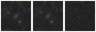 Missing file PGC1229213-custom-montage-W1W2.png