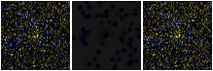 Missing file PGC1355373-custom-montage-FUVNUV.png
