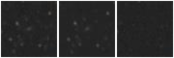 Missing file PGC1961018-custom-montage-W1W2.png
