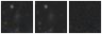 Missing file AGC225849-custom-montage-W1W2.png
