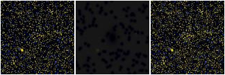 Missing file EVCC1234-custom-montage-FUVNUV.png