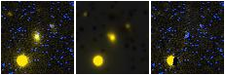 Missing file NGC4803-custom-montage-FUVNUV.png