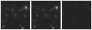 Missing file PGC043739-custom-montage-W1W2.png