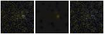 Missing file PGC135811-custom-montage-FUVNUV.png