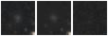 Missing file PGC135812-custom-montage-W1W2.png