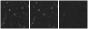 Missing file PGC2593434-custom-montage-W1W2.png