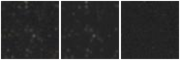 Missing file PGC3298107-custom-montage-W1W2.png