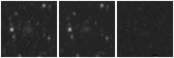 Missing file SDSSJ125355.92+340559.5-custom-montage-W1W2.png
