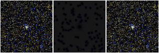 Missing file SDSSJ125440.94+635324.9-custom-montage-FUVNUV.png