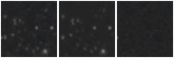 Missing file VFID3486-custom-montage-W1W2.png