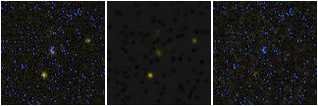 Missing file AGC225878-custom-montage-FUVNUV.png