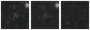Missing file PGC1373048-custom-montage-W1W2.png