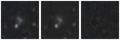 Missing file PGC1388496-custom-montage-W1W2.png