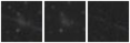 Missing file PGC166150-custom-montage-W1W2.png