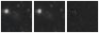Missing file PGC166151-custom-montage-W1W2.png