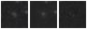 Missing file PGC1773926-custom-montage-W1W2.png