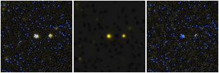 Missing file PGC3297904-custom-montage-FUVNUV.png