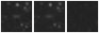 Missing file SDSSJ125926.76+591735.0-custom-montage-W1W2.png