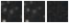 Missing file PGC045019-custom-montage-W1W2.png