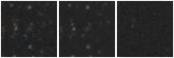 Missing file PGC1227695-custom-montage-W1W2.png