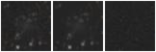 Missing file PGC086645-custom-montage-W1W2.png