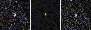 Missing file PGC1645574-custom-montage-FUVNUV.png