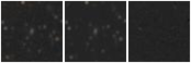 Missing file PGC1645574-custom-montage-W1W2.png