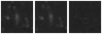 Missing file PGC2134801-custom-montage-W1W2.png