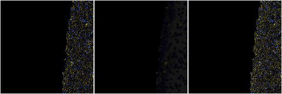 Missing file VFID3875_GROUP-custom-montage-FUVNUV.png