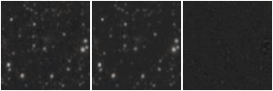 Missing file VFID3875_GROUP-custom-montage-W1W2.png