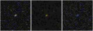 Missing file VFID6559-custom-montage-FUVNUV.png