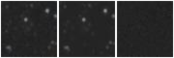 Missing file AGC239059-custom-montage-W1W2.png