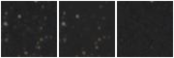 Missing file AGC239138-custom-montage-W1W2.png