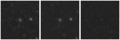 Missing file PGC1574705-custom-montage-W1W2.png