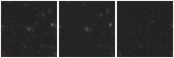 Missing file PGC1958740-custom-montage-W1W2.png