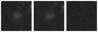 Missing file PGC2097739-custom-montage-W1W2.png