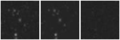 Missing file PGC2345555-custom-montage-W1W2.png