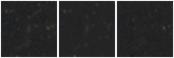 Missing file SDSSJ130920.83+214256.0-custom-montage-W1W2.png