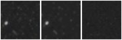 Missing file AGC238737-custom-montage-W1W2.png