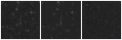 Missing file AGC238975-custom-montage-W1W2.png