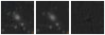Missing file PGC046161-custom-montage-W1W2.png