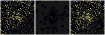 Missing file PGC166160-custom-montage-FUVNUV.png
