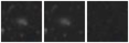Missing file PGC2116640-custom-montage-W1W2.png