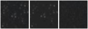 Missing file PGC2175257-custom-montage-W1W2.png