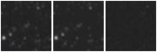Missing file PGC2311534-custom-montage-W1W2.png