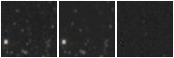 Missing file PGC3299628-custom-montage-W1W2.png