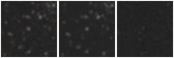 Missing file SDSSJ131245.02+375609.8-custom-montage-W1W2.png