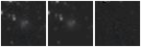 Missing file UGC08291-custom-montage-W1W2.png
